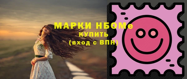 амф Новозыбков