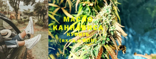 амф Новозыбков