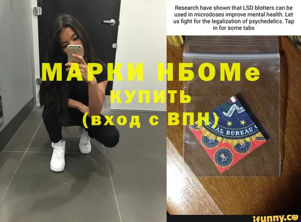 амф Новозыбков