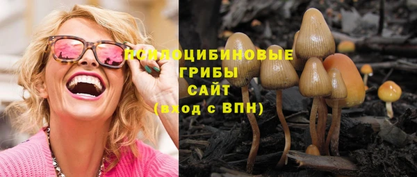 spice Няндома