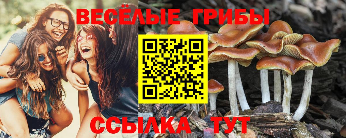 Сарапул  Галлюциногенные грибы мицелий  Галлюциногенные грибы мухоморы  Вход с VPN 