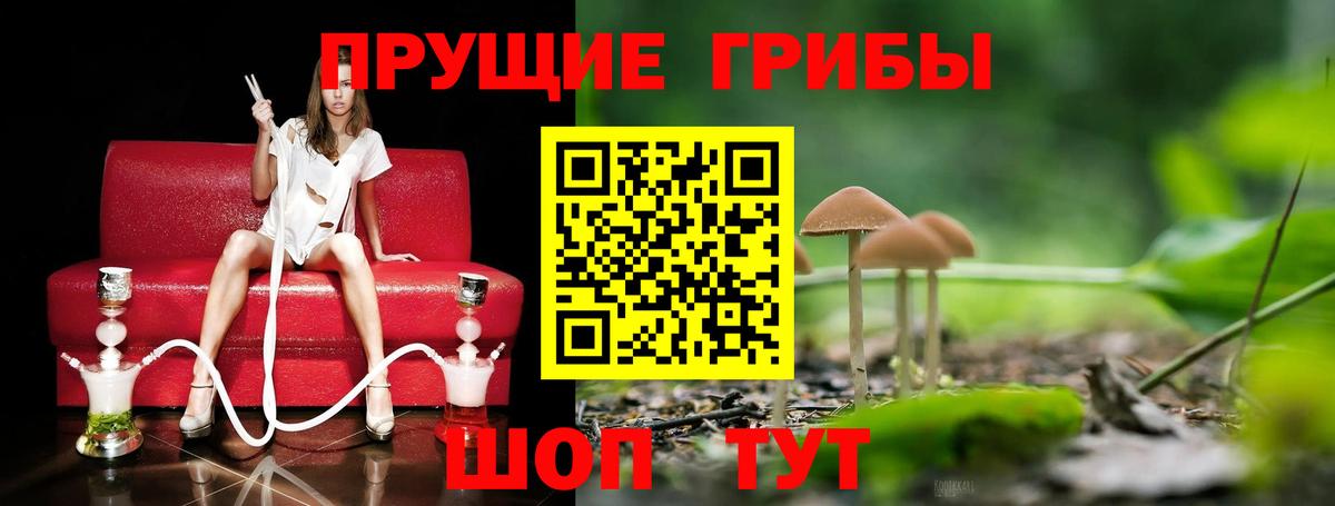Псилоцибиновые грибы Magic Shrooms Сарапул